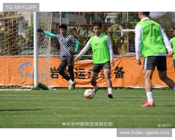 沧州雄狮新赛季备战情况全面解析球队发展趋势与未来展望