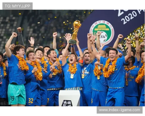 南京网球队的蜕变之路：从传统到现代的冠军赛特别报道