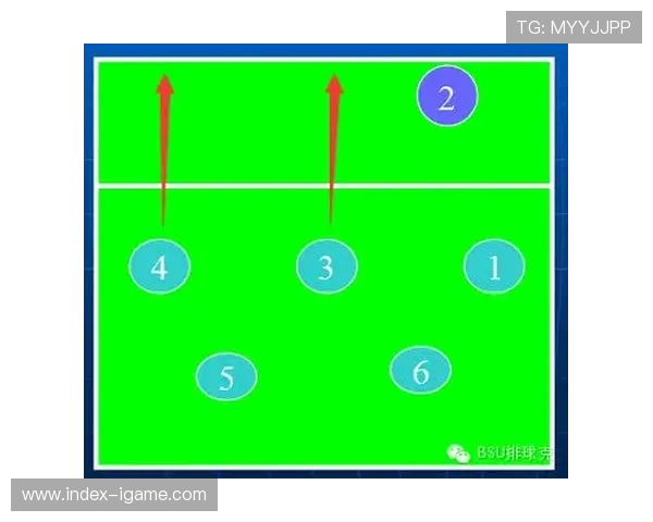 杭州排球队整体压制战术解析与实战应用探讨