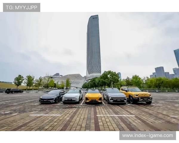 极限运动的转型之路：探秘成都极限运动队的创新与挑战