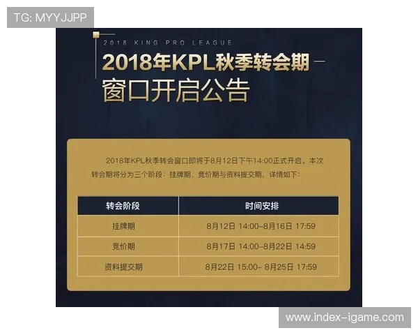 王者荣耀深度解析：JDG战队如何通过团队协作赢得胜利