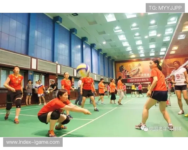 重庆排球队心理素质分析与数据表现研究探讨