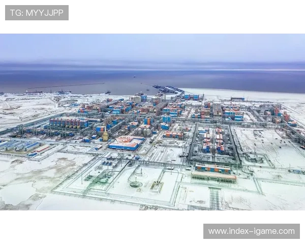 亚马尔地区的能源战略与全球市场的深远影响分析